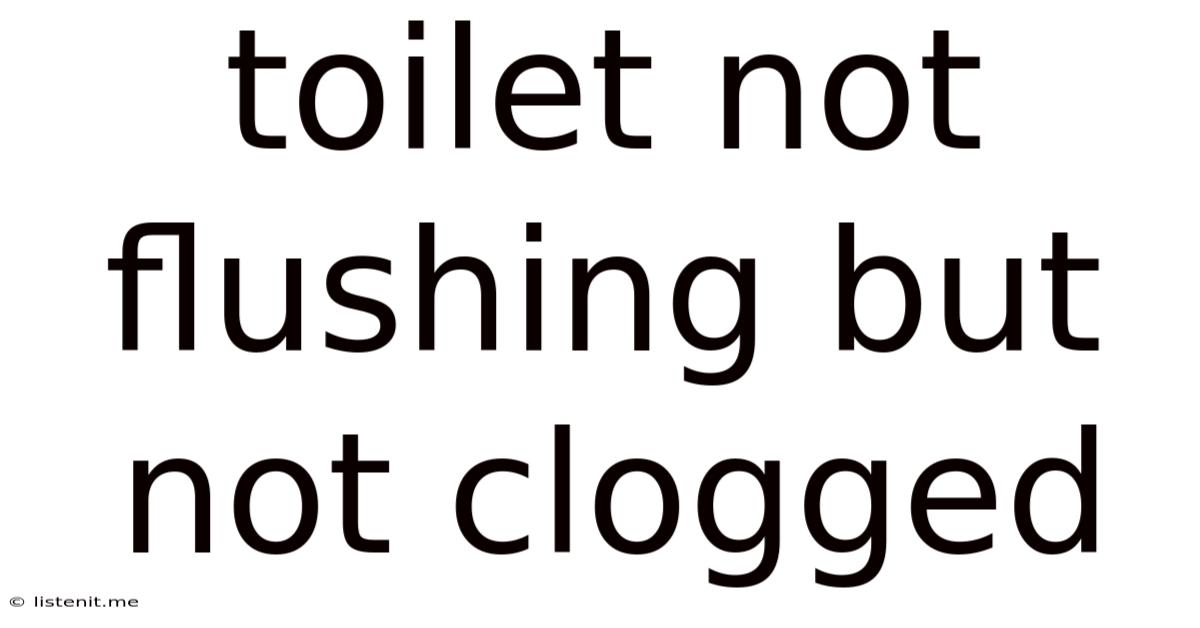 Toilet Not Flushing But Not Clogged