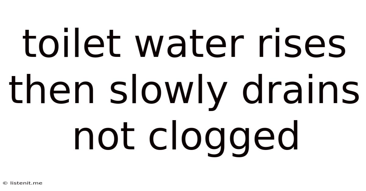 Toilet Water Rises Then Slowly Drains Not Clogged