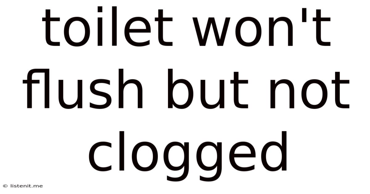 Toilet Won't Flush But Not Clogged