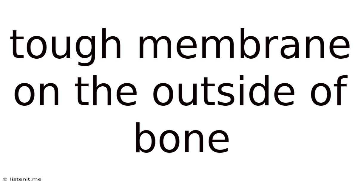 Tough Membrane On The Outside Of Bone