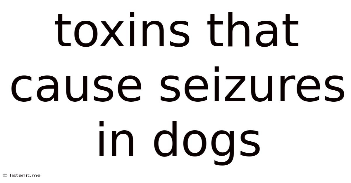 Toxins That Cause Seizures In Dogs