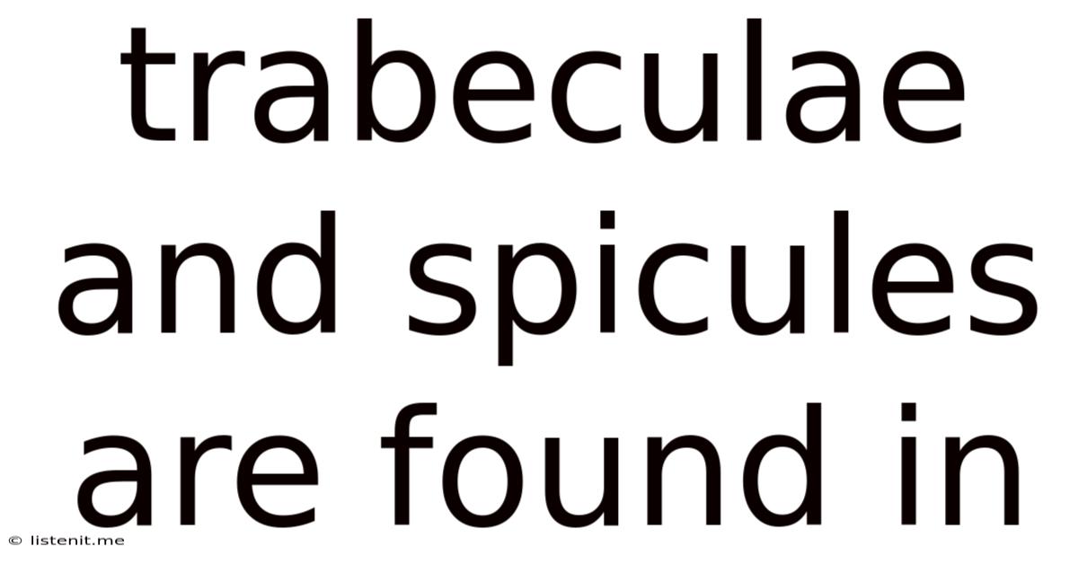 Trabeculae And Spicules Are Found In