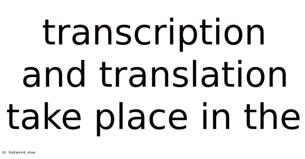 Transcription And Translation Take Place In The