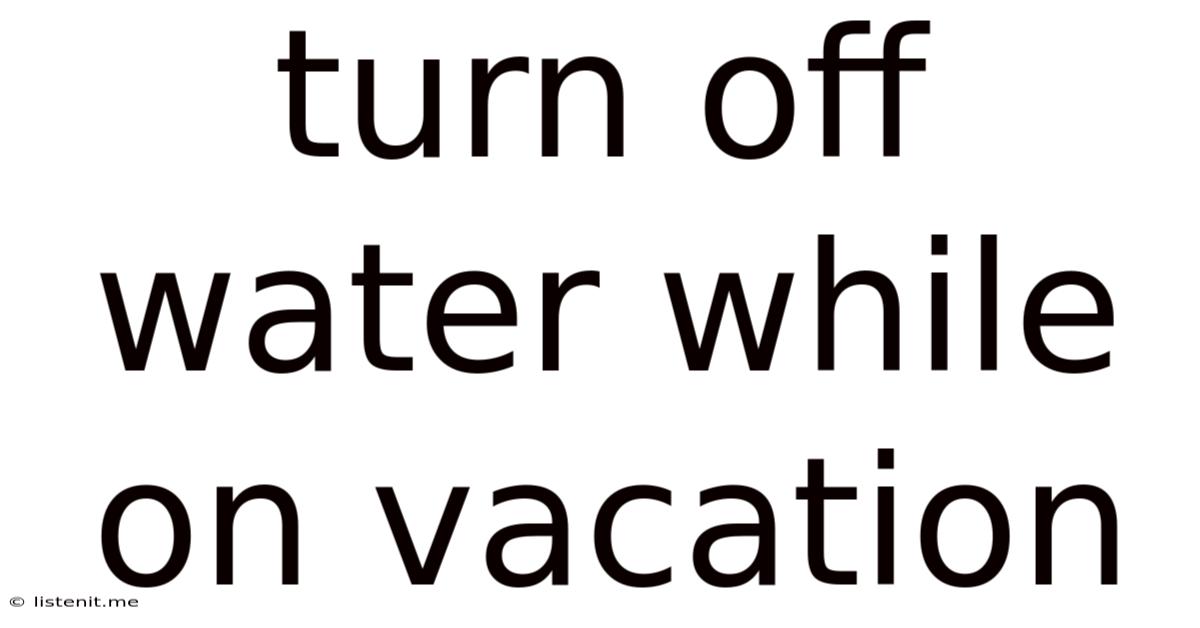 Turn Off Water While On Vacation