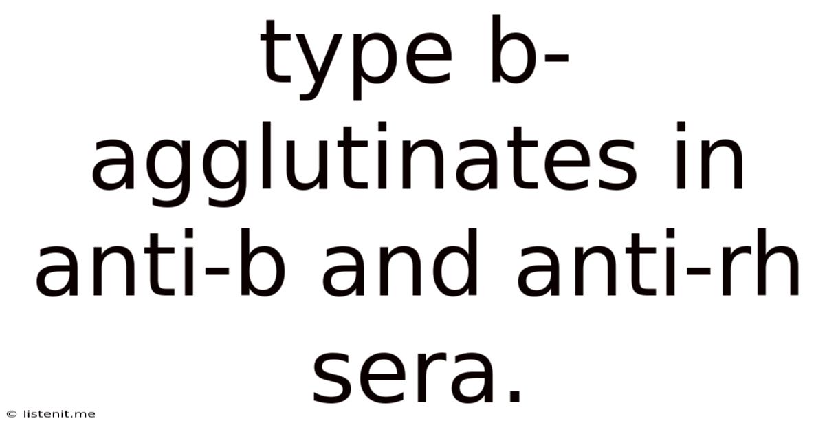 Type B- Agglutinates In Anti-b And Anti-rh Sera.