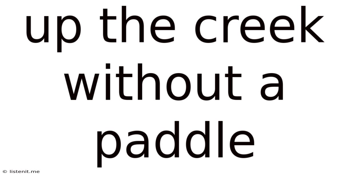 Up The Creek Without A Paddle