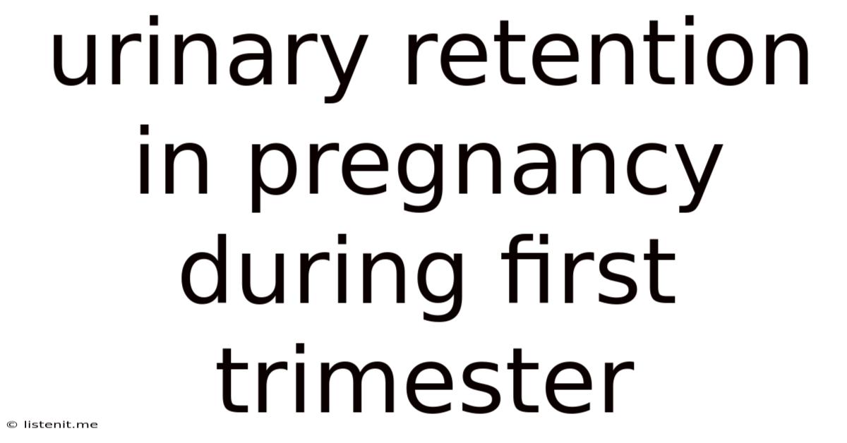 Urinary Retention In Pregnancy During First Trimester