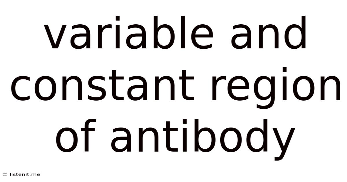 Variable And Constant Region Of Antibody