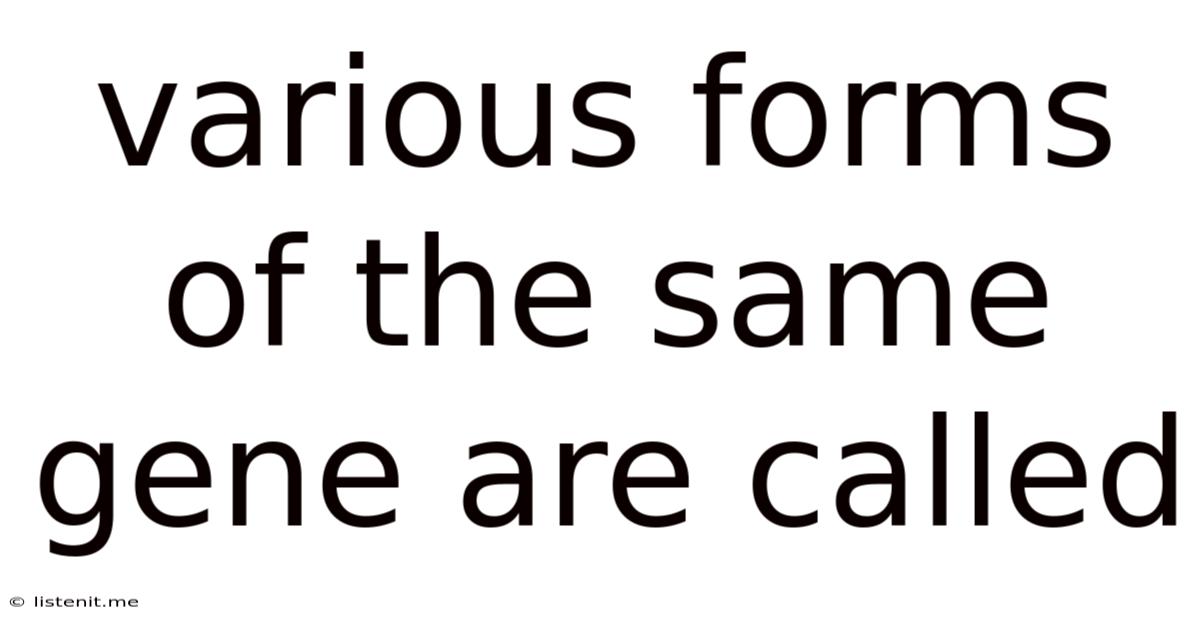Various Forms Of The Same Gene Are Called