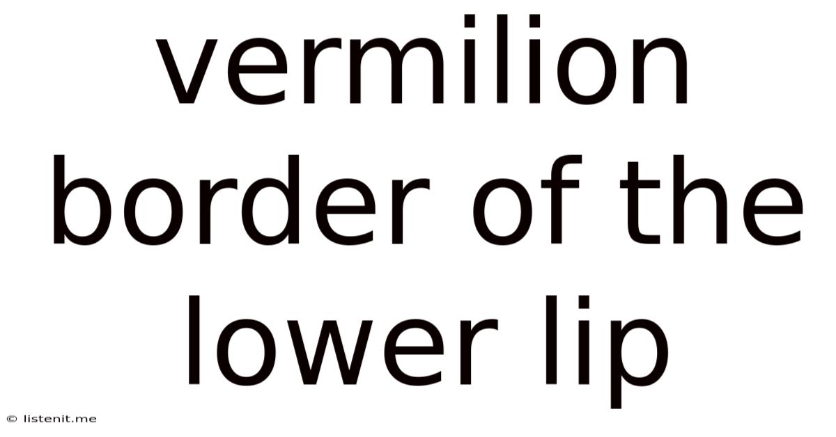 Vermilion Border Of The Lower Lip
