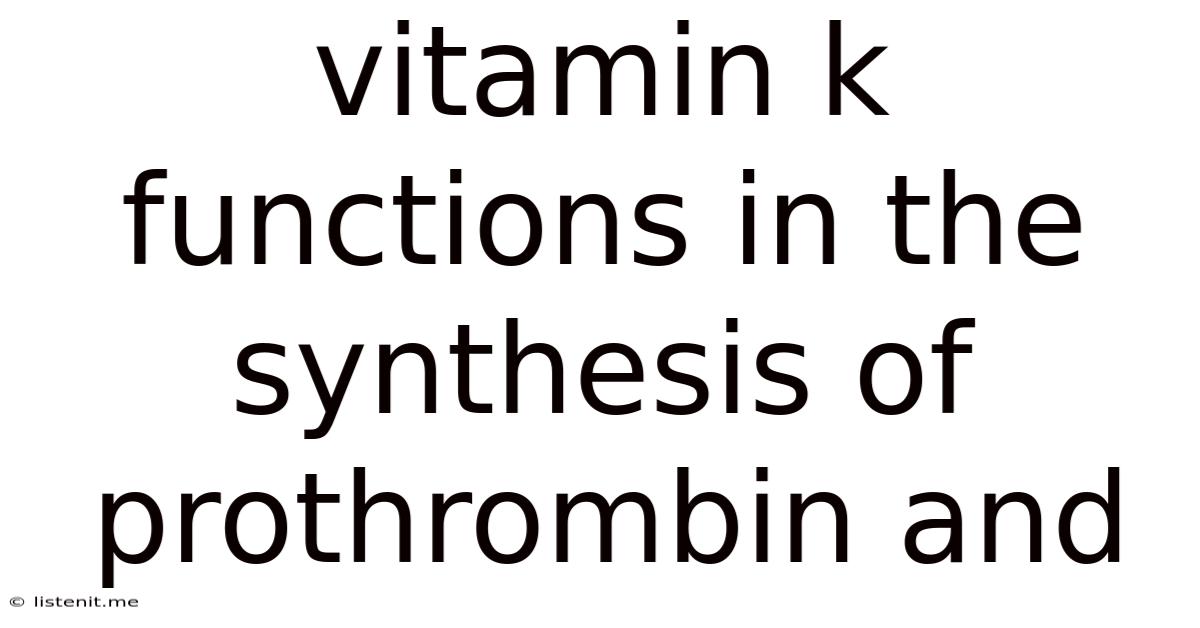 Vitamin K Functions In The Synthesis Of Prothrombin And