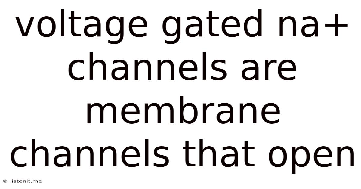 Voltage Gated Na+ Channels Are Membrane Channels That Open