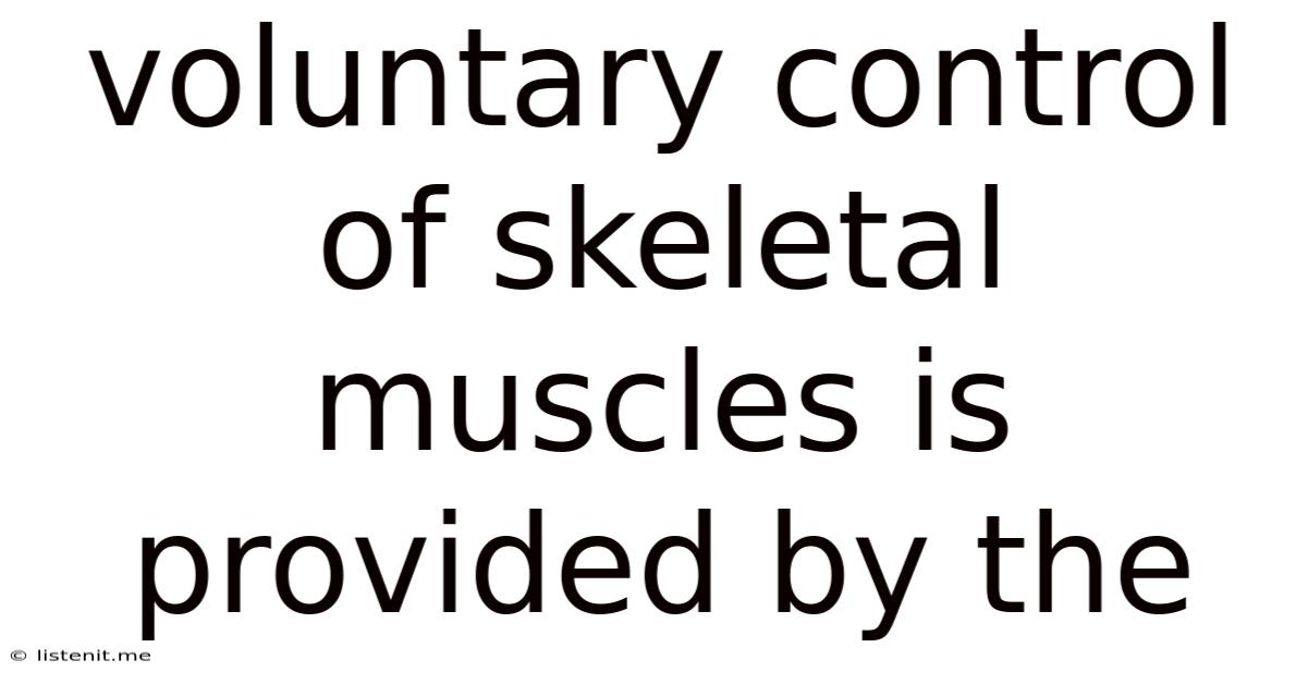 Voluntary Control Of Skeletal Muscles Is Provided By The
