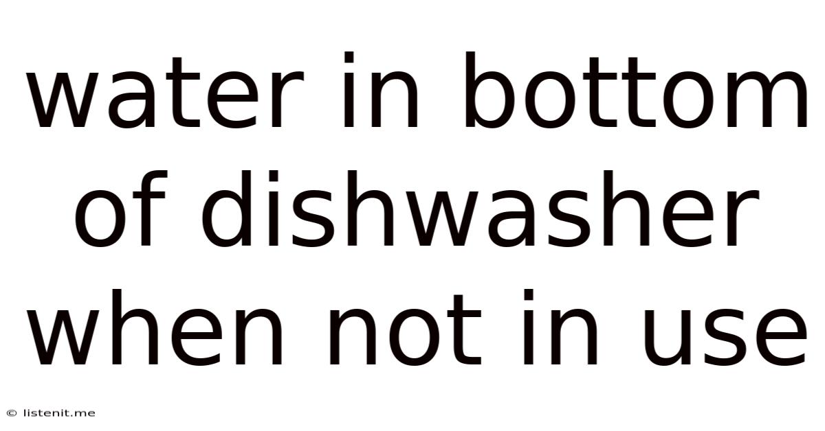 Water In Bottom Of Dishwasher When Not In Use