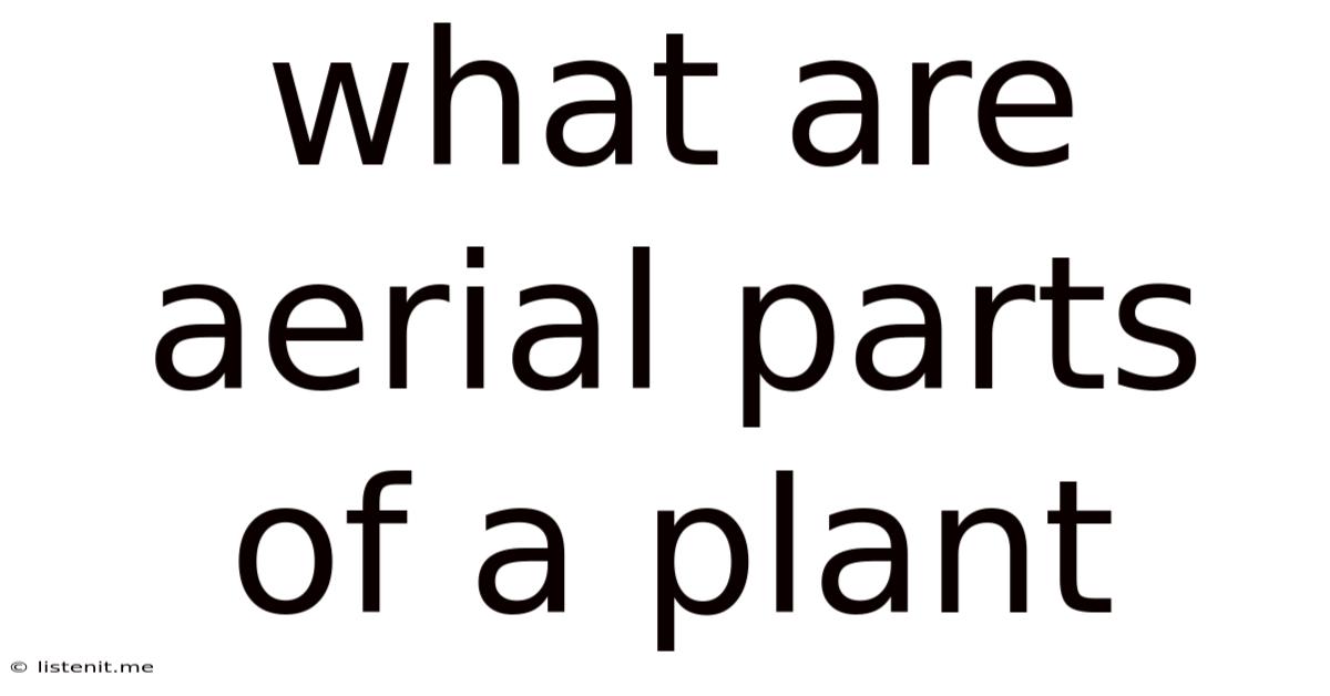 What Are Aerial Parts Of A Plant