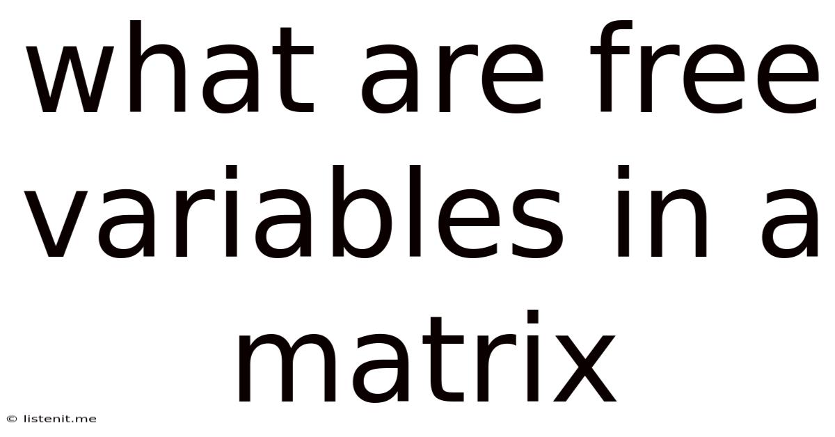 What Are Free Variables In A Matrix