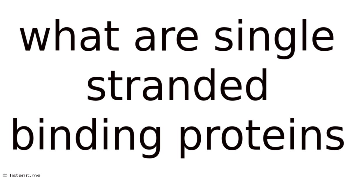 What Are Single Stranded Binding Proteins