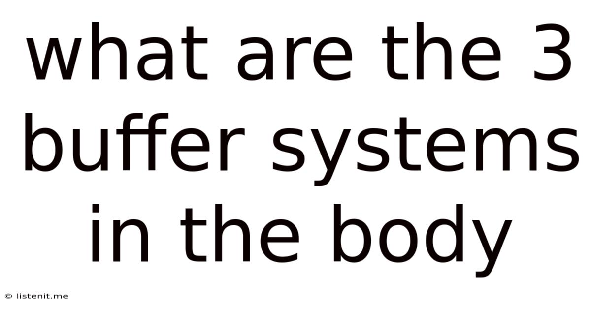 What Are The 3 Buffer Systems In The Body