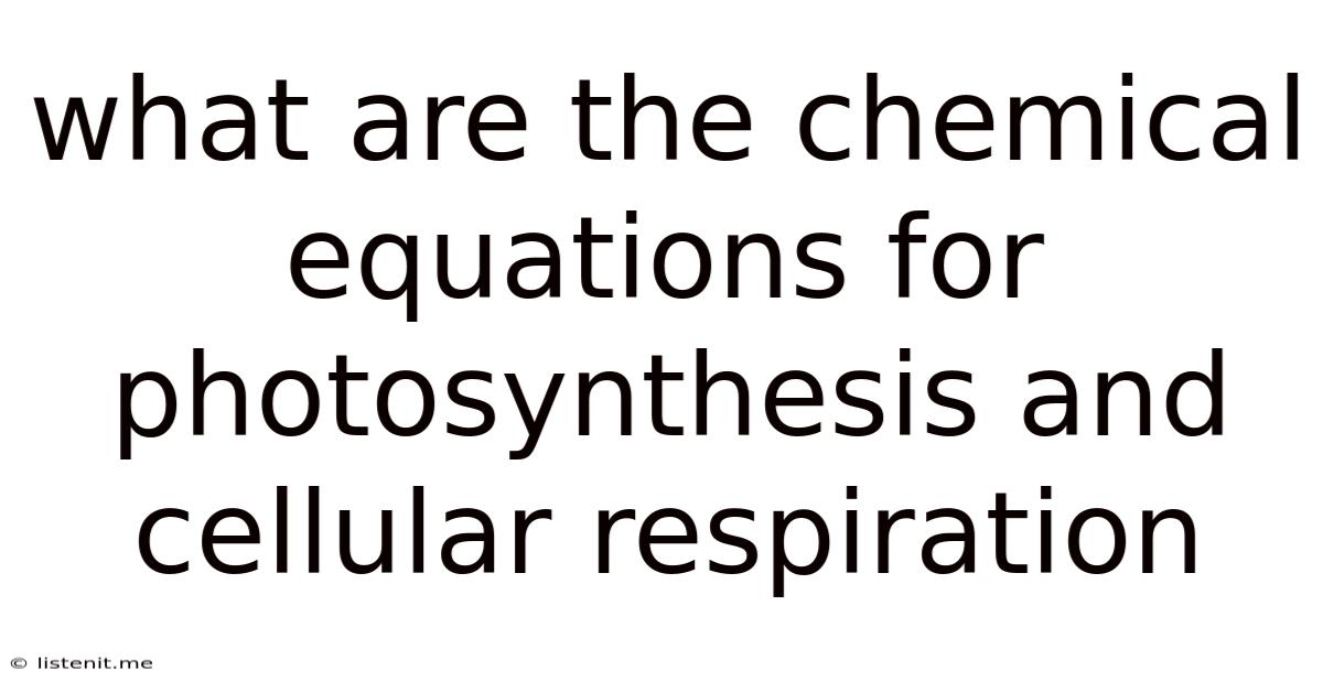 What Are The Chemical Equations For Photosynthesis And Cellular Respiration