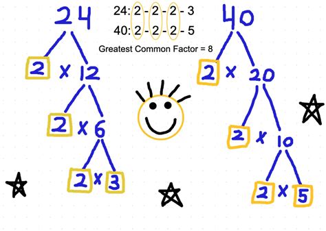 What Are The Common Factors Of 24 And 40