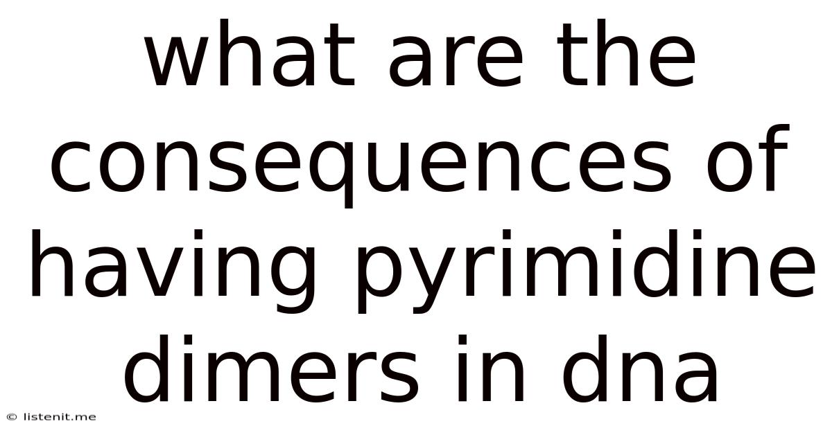 What Are The Consequences Of Having Pyrimidine Dimers In Dna