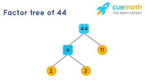 What Are The Factors Of 44