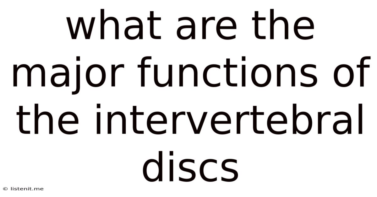 What Are The Major Functions Of The Intervertebral Discs