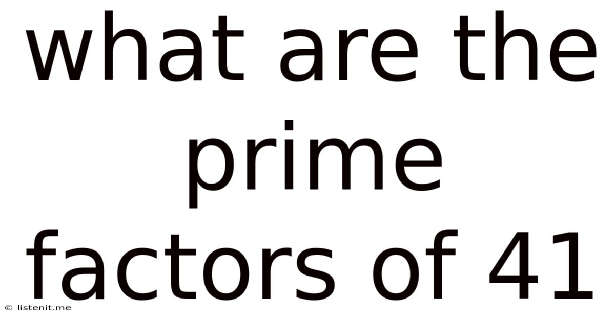 What Are The Prime Factors Of 41