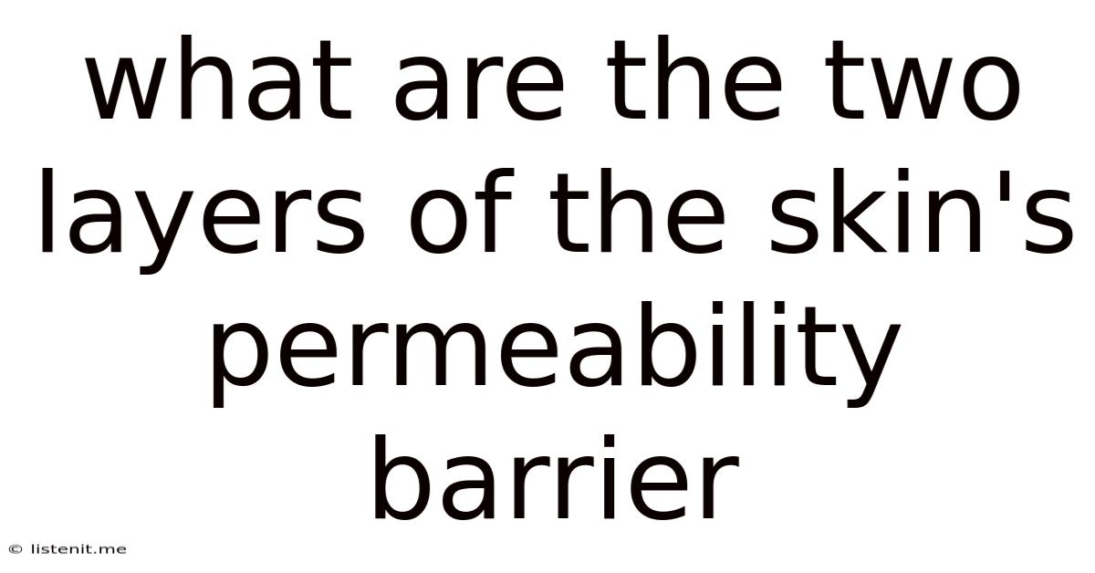 What Are The Two Layers Of The Skin's Permeability Barrier