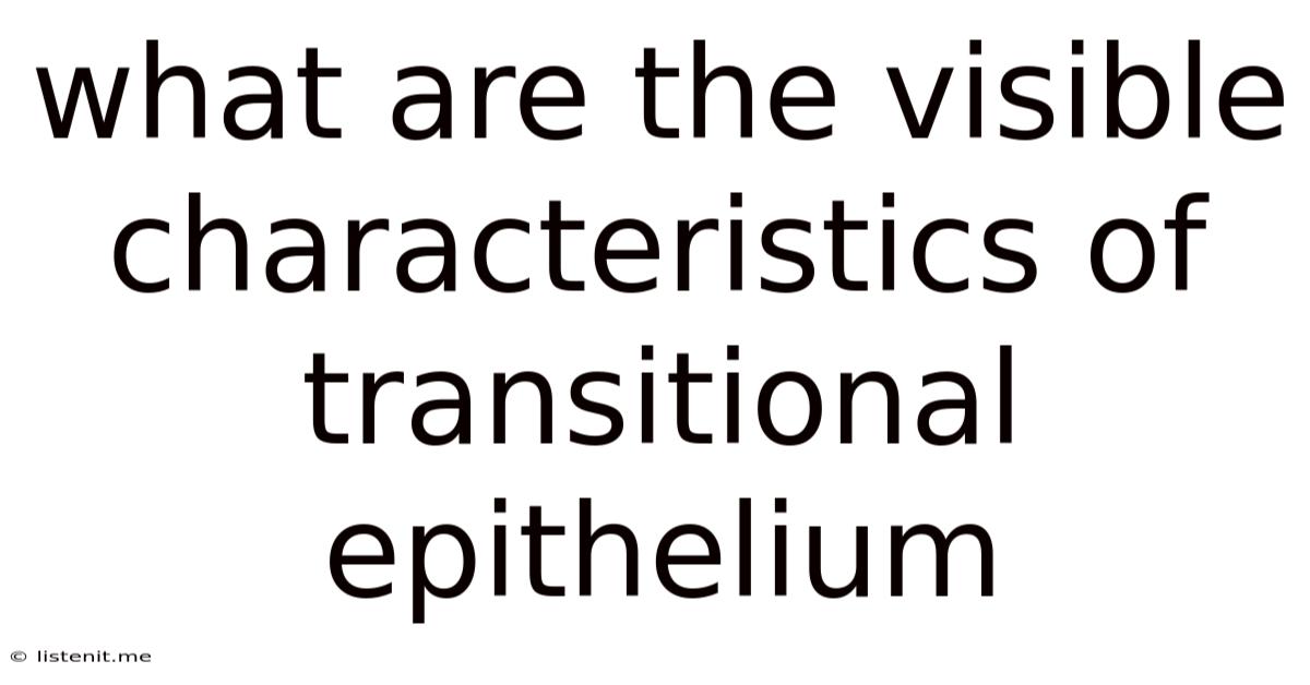 What Are The Visible Characteristics Of Transitional Epithelium