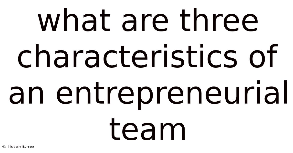 What Are Three Characteristics Of An Entrepreneurial Team