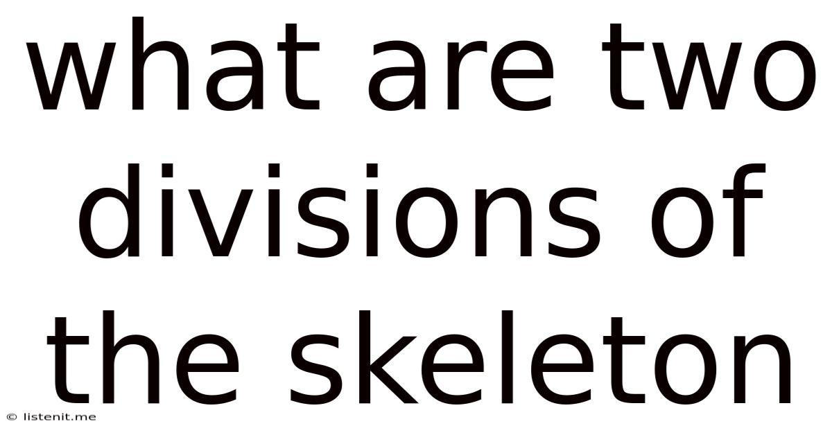 What Are Two Divisions Of The Skeleton
