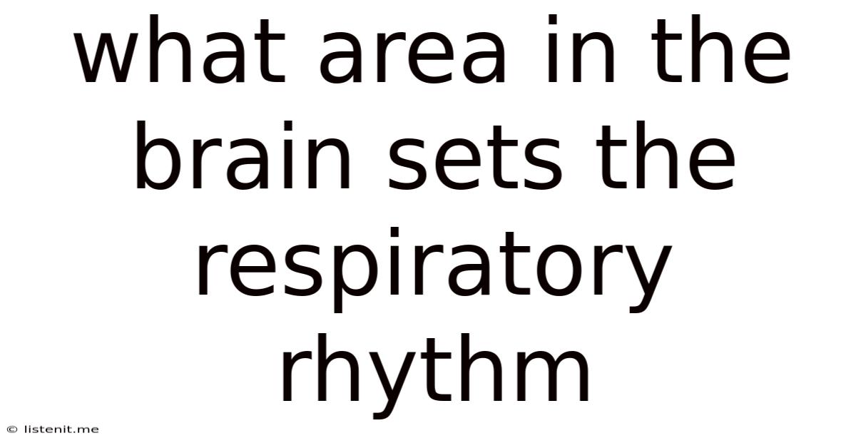 What Area In The Brain Sets The Respiratory Rhythm