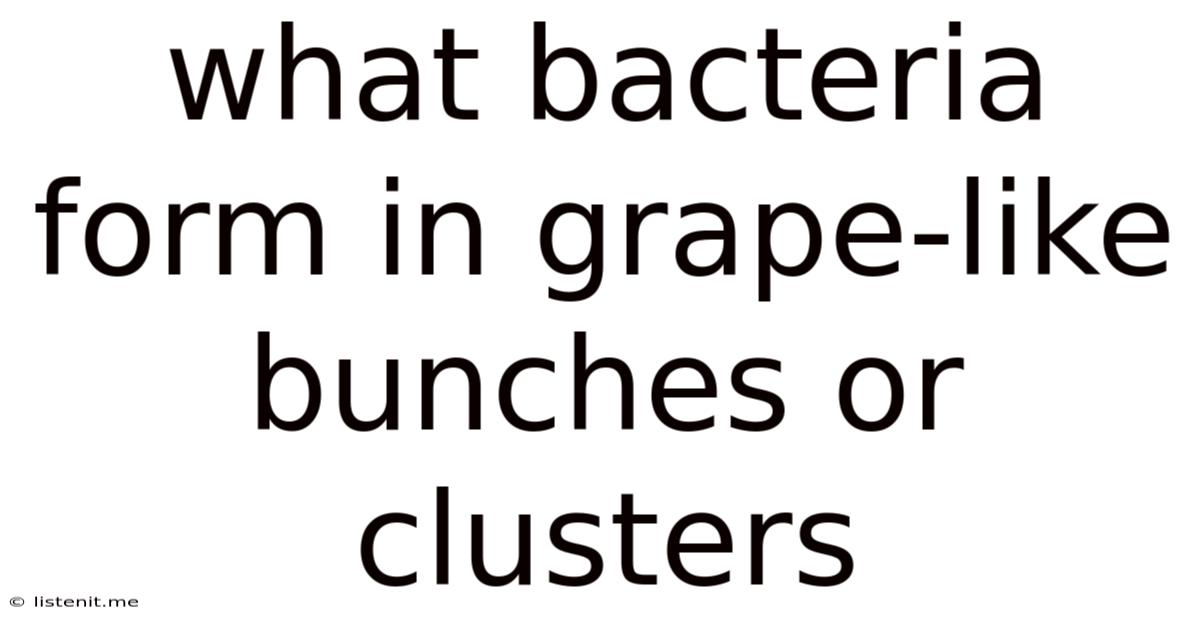 What Bacteria Form In Grape-like Bunches Or Clusters