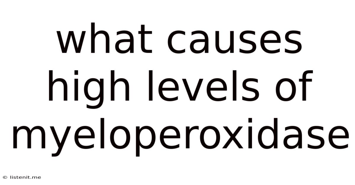What Causes High Levels Of Myeloperoxidase