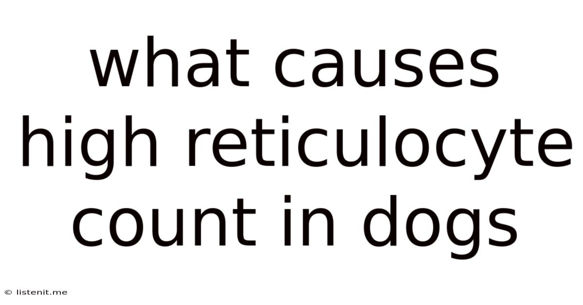 What Causes High Reticulocyte Count In Dogs