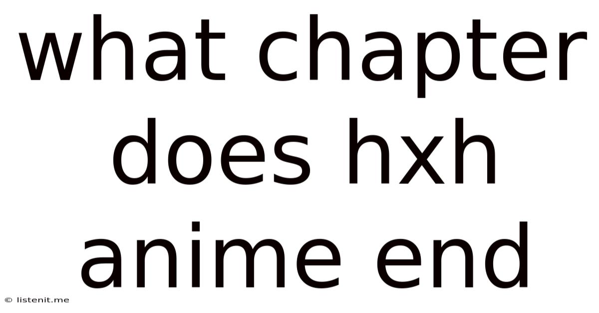 What Chapter Does Hxh Anime End