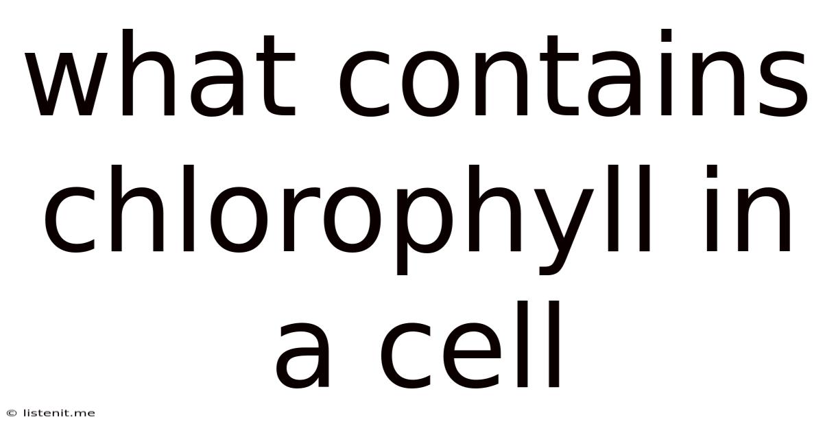 What Contains Chlorophyll In A Cell