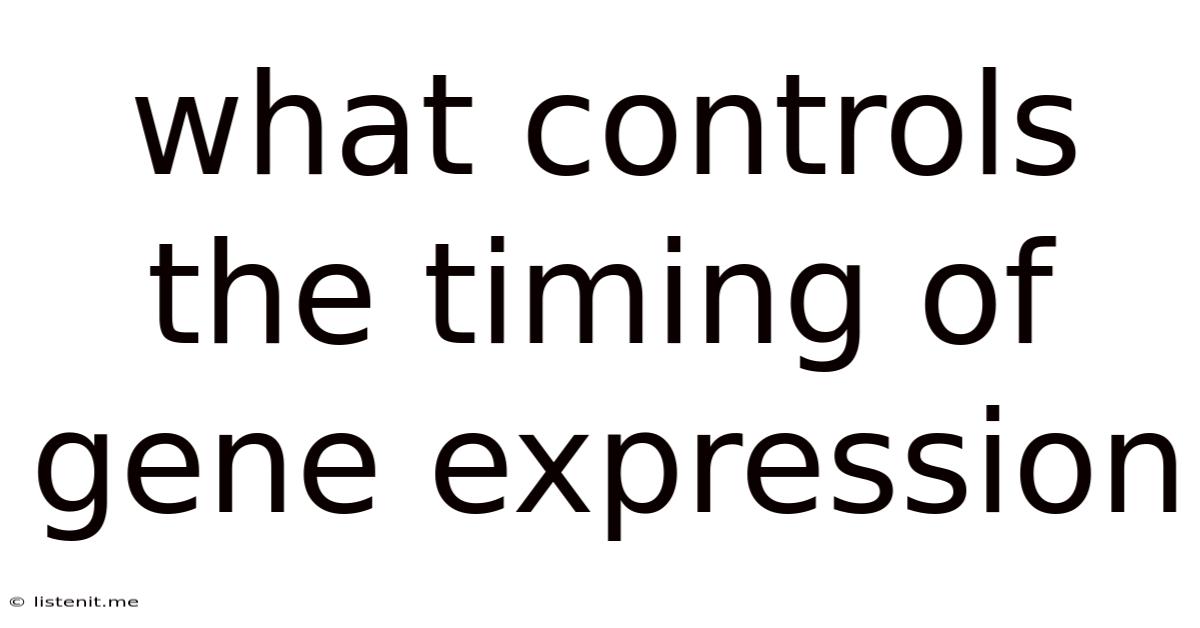 What Controls The Timing Of Gene Expression