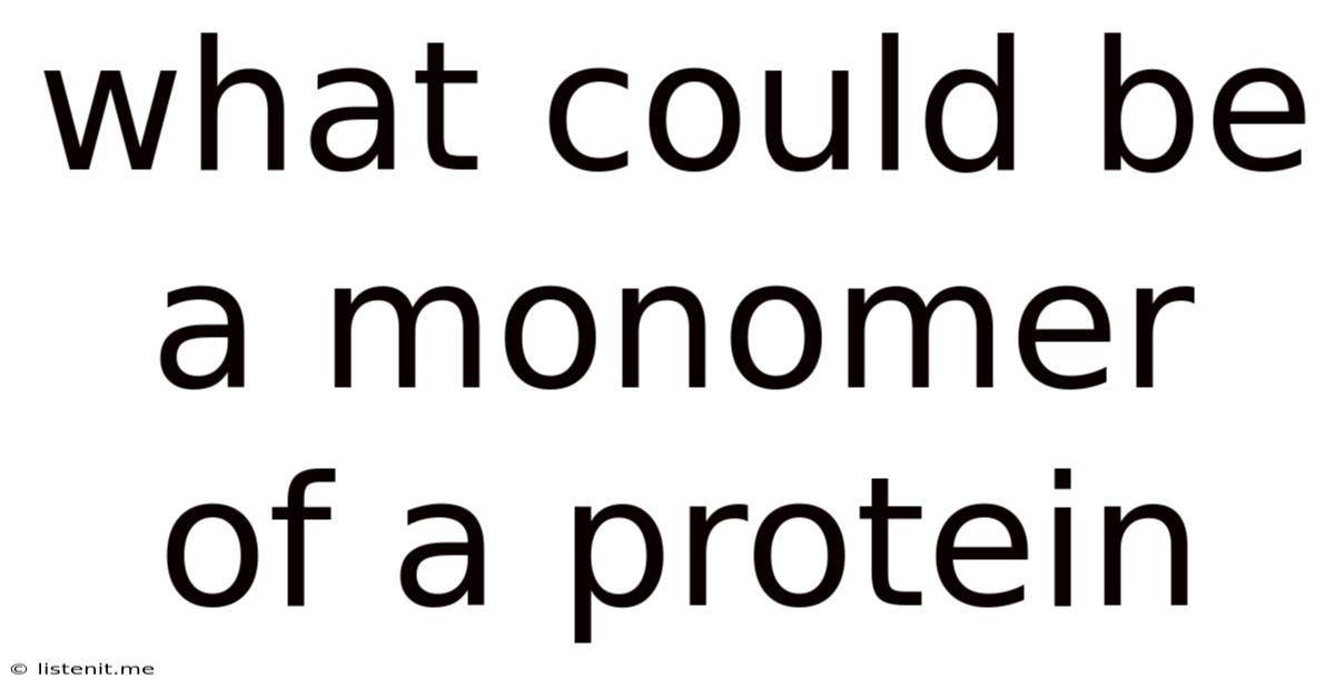 What Could Be A Monomer Of A Protein