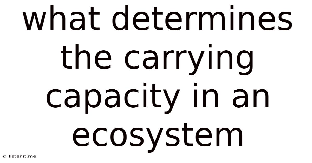What Determines The Carrying Capacity In An Ecosystem