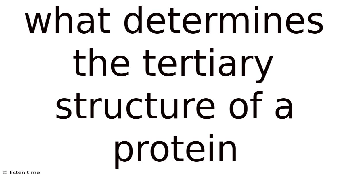 What Determines The Tertiary Structure Of A Protein