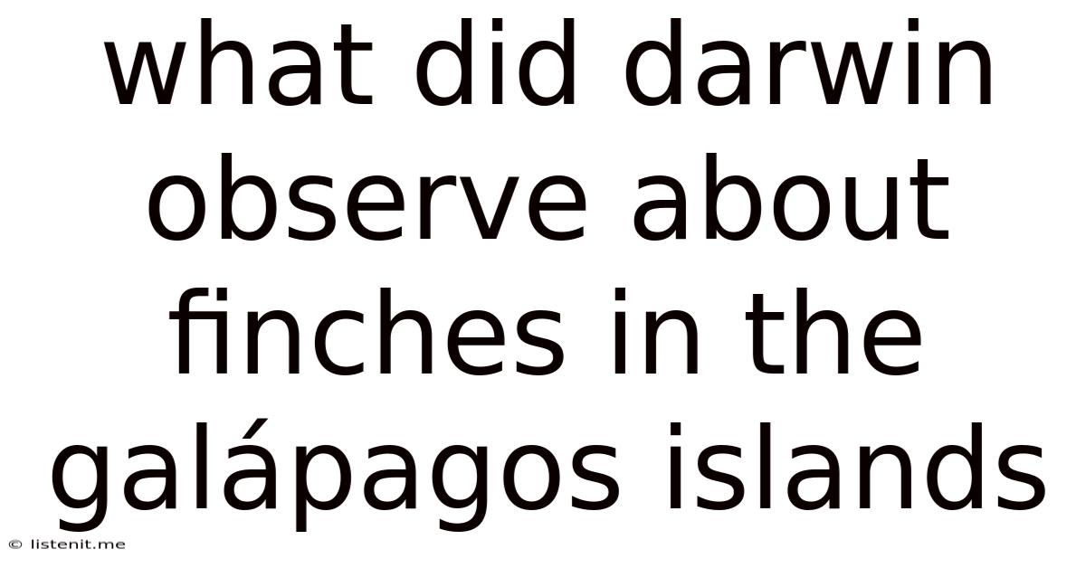 What Did Darwin Observe About Finches In The Galápagos Islands