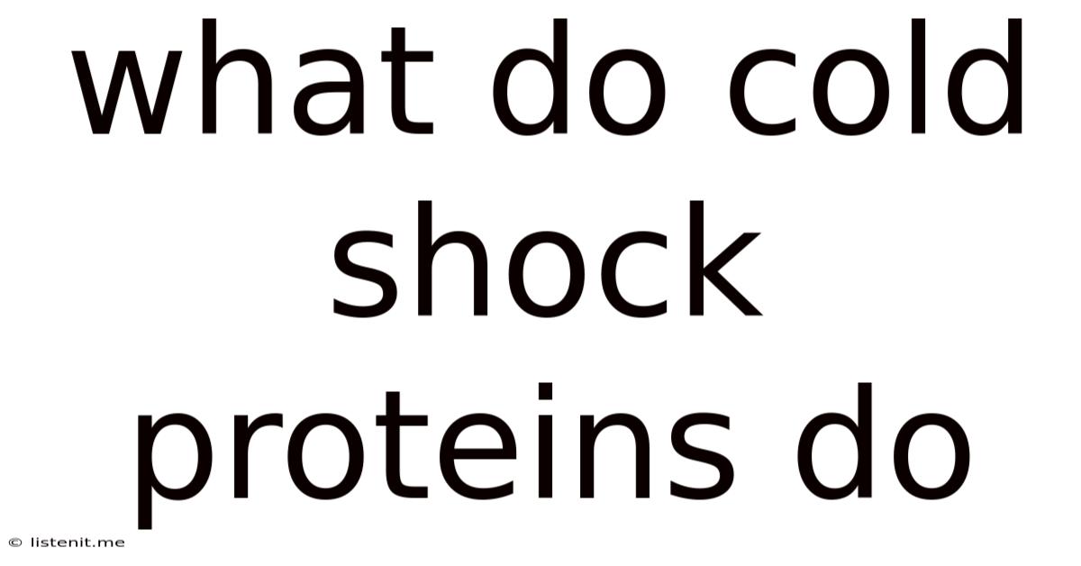 What Do Cold Shock Proteins Do