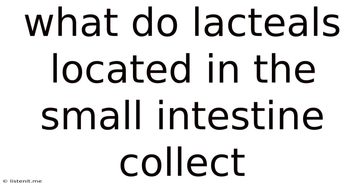 What Do Lacteals Located In The Small Intestine Collect