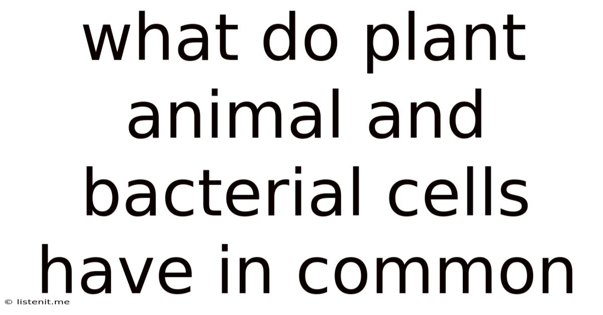 What Do Plant Animal And Bacterial Cells Have In Common