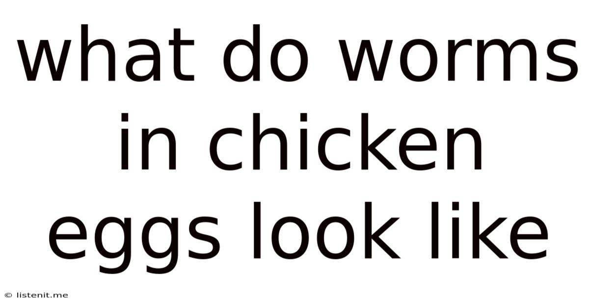 What Do Worms In Chicken Eggs Look Like