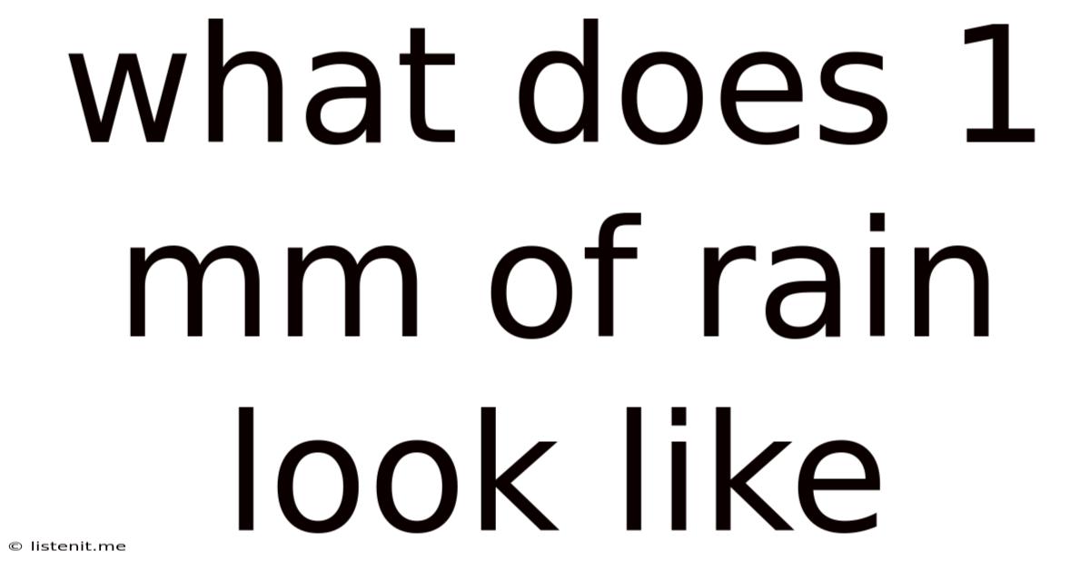 What Does 1 Mm Of Rain Look Like