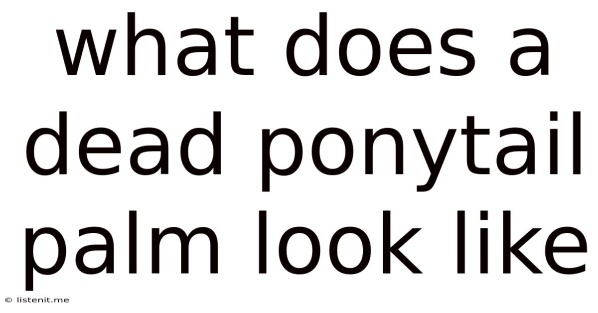 What Does A Dead Ponytail Palm Look Like