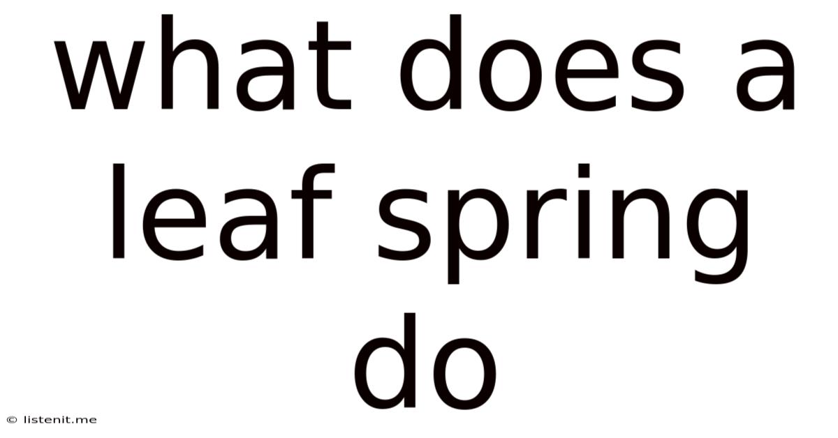 What Does A Leaf Spring Do